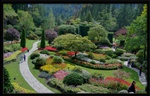 In The Butchart Gardens